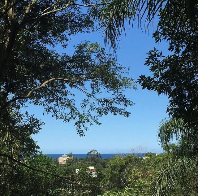 Casa Figueira Na Pedra Ξενοδοχείο Florianópolis Εξωτερικό φωτογραφία