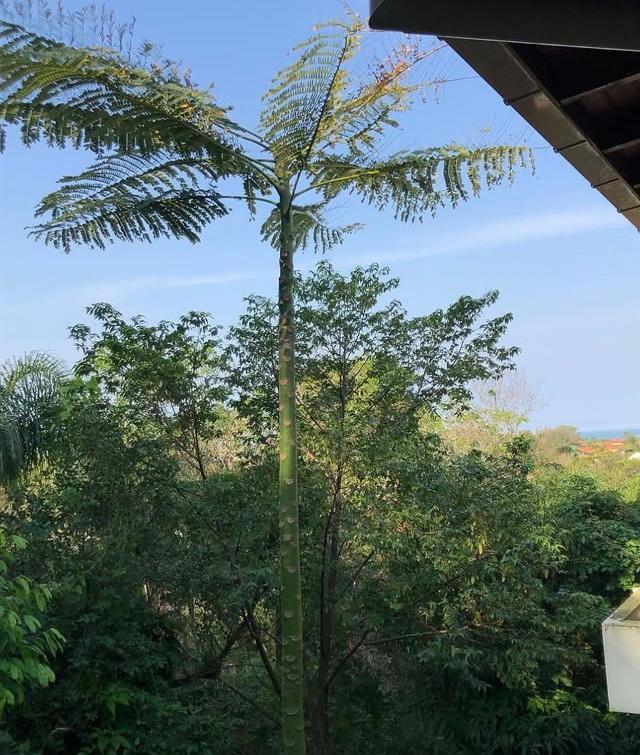 Casa Figueira Na Pedra Ξενοδοχείο Florianópolis Εξωτερικό φωτογραφία