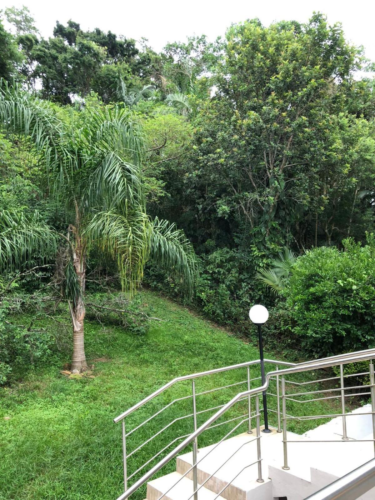 Casa Figueira Na Pedra Ξενοδοχείο Florianópolis Εξωτερικό φωτογραφία